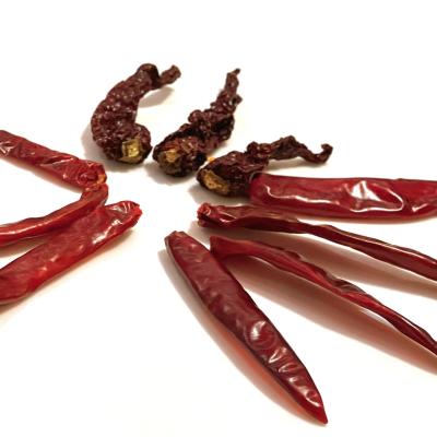 MEDIUM SPICY AND FULL RED ( મીડીયમ તીખું અને ફૂલ લાલ )