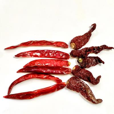MILD SPICY AND FULL RED ( મોરૂ અને ફૂલ લાલ )