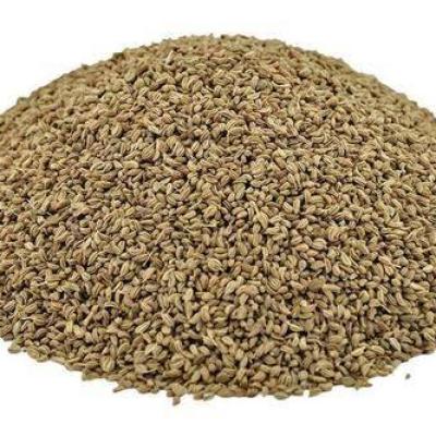 AJMA (AJWAIN)