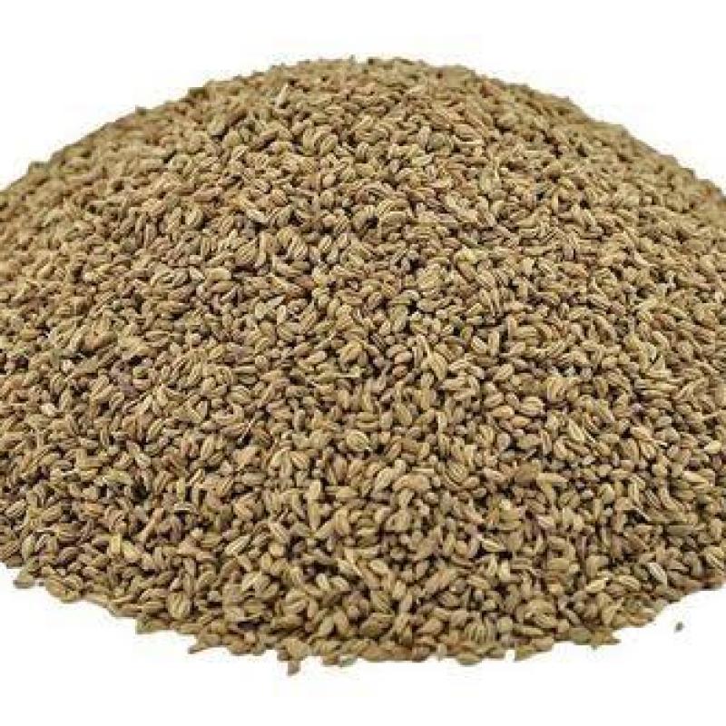 AJMA (AJWAIN)